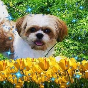 Meet your Posher, Joanne